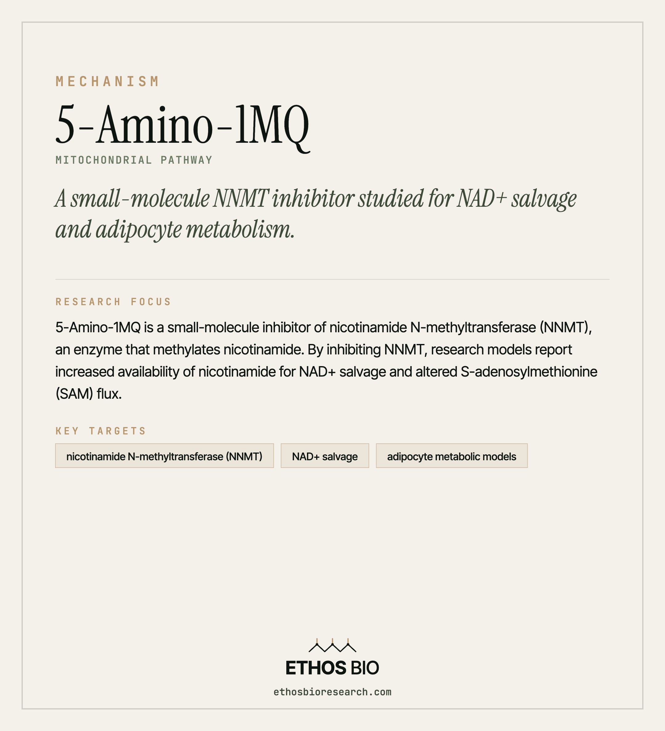 5-Amino-1MQ mechanism