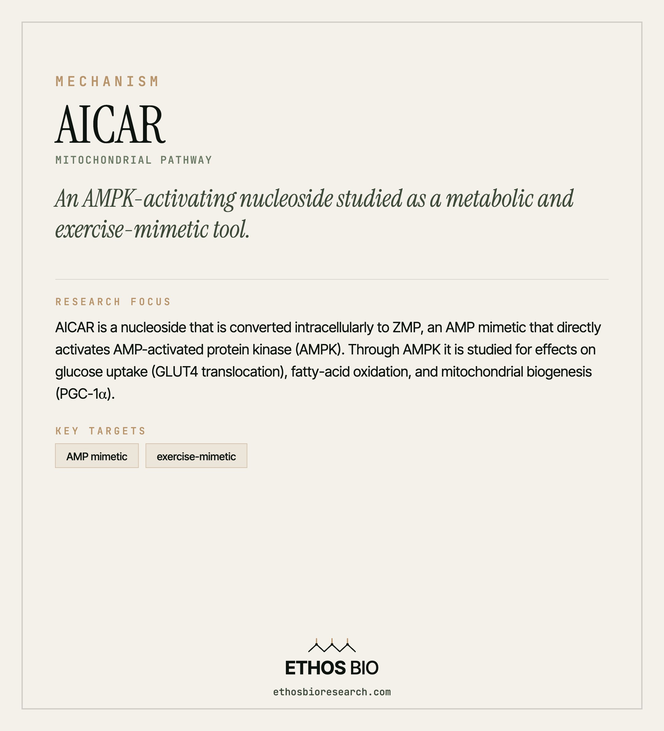 AICAR mechanism