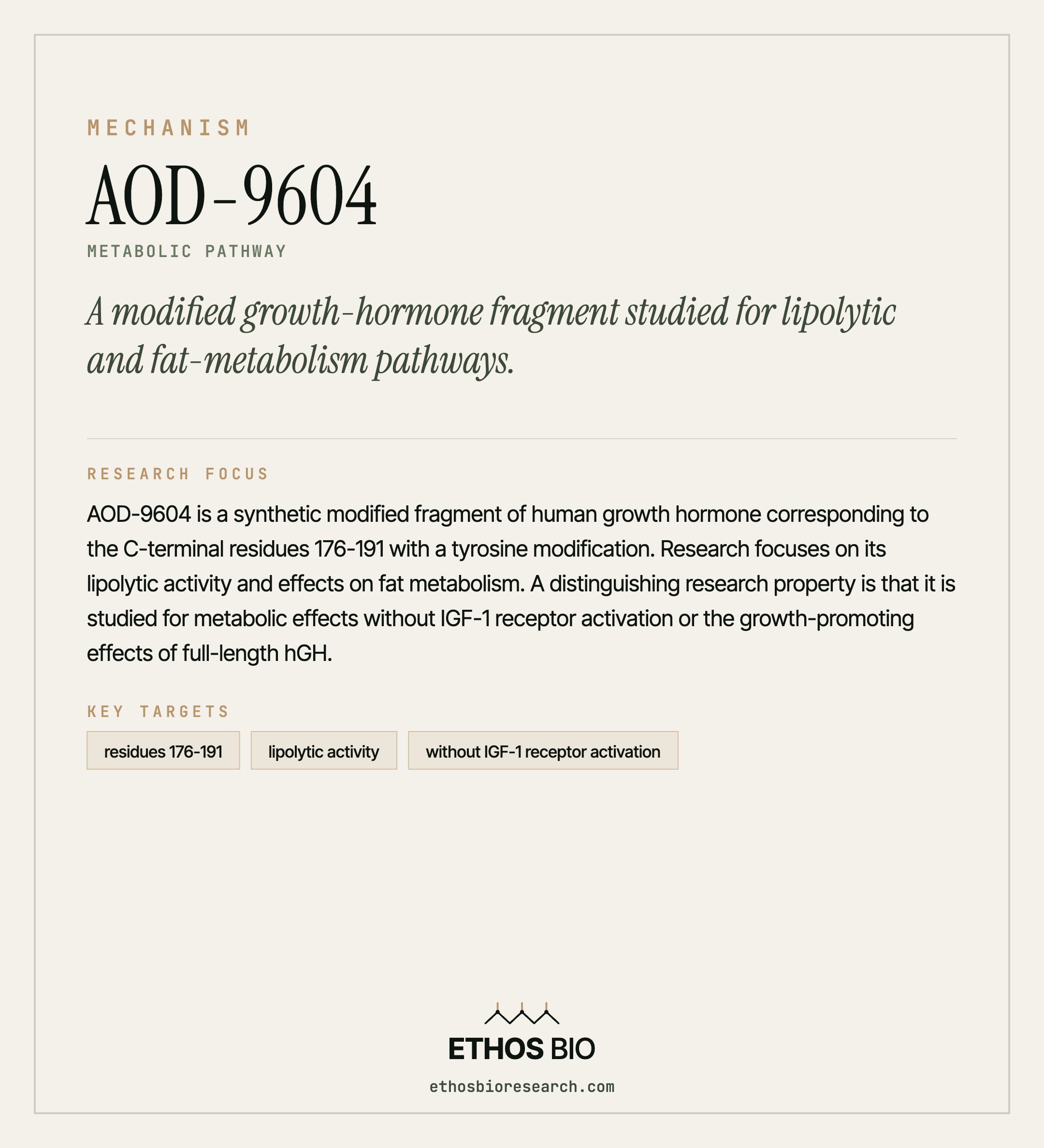 AOD-9604 mechanism