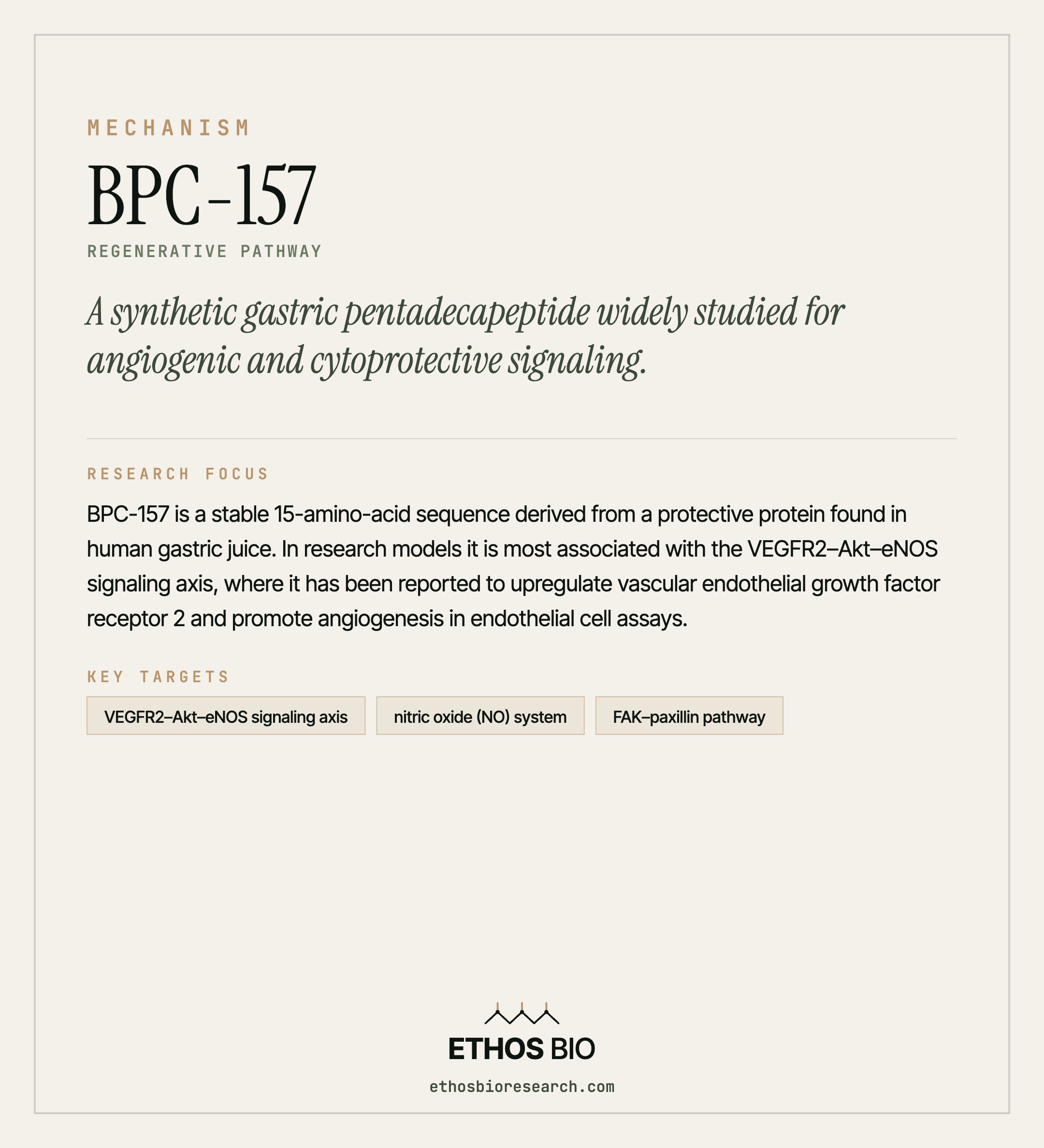 BPC-157 mechanism
