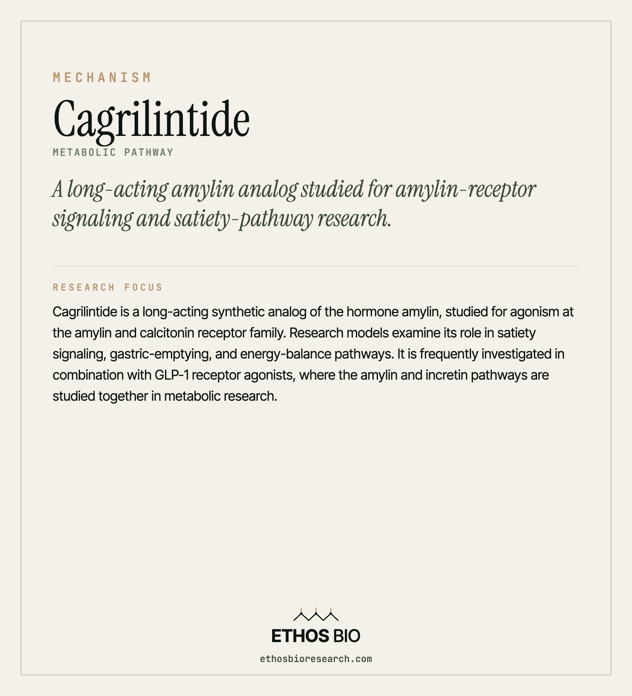 Cagrilintide mechanism