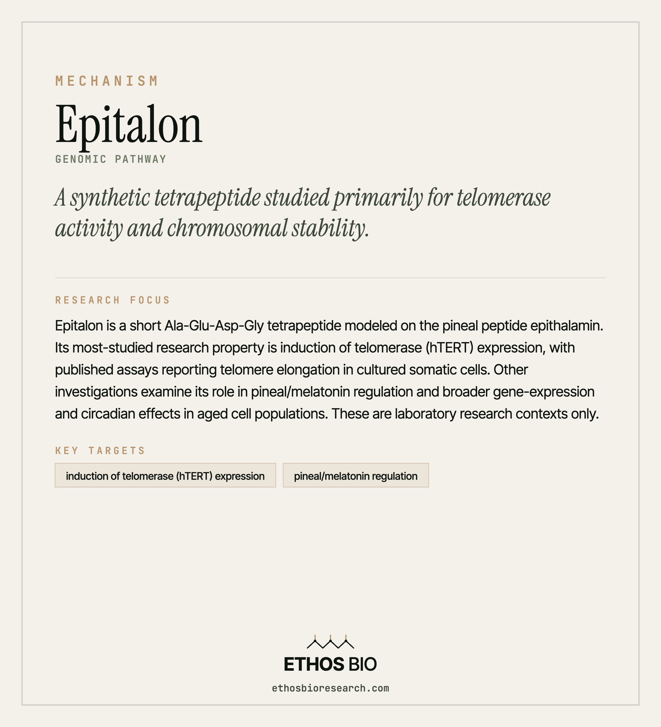 Epitalon mechanism