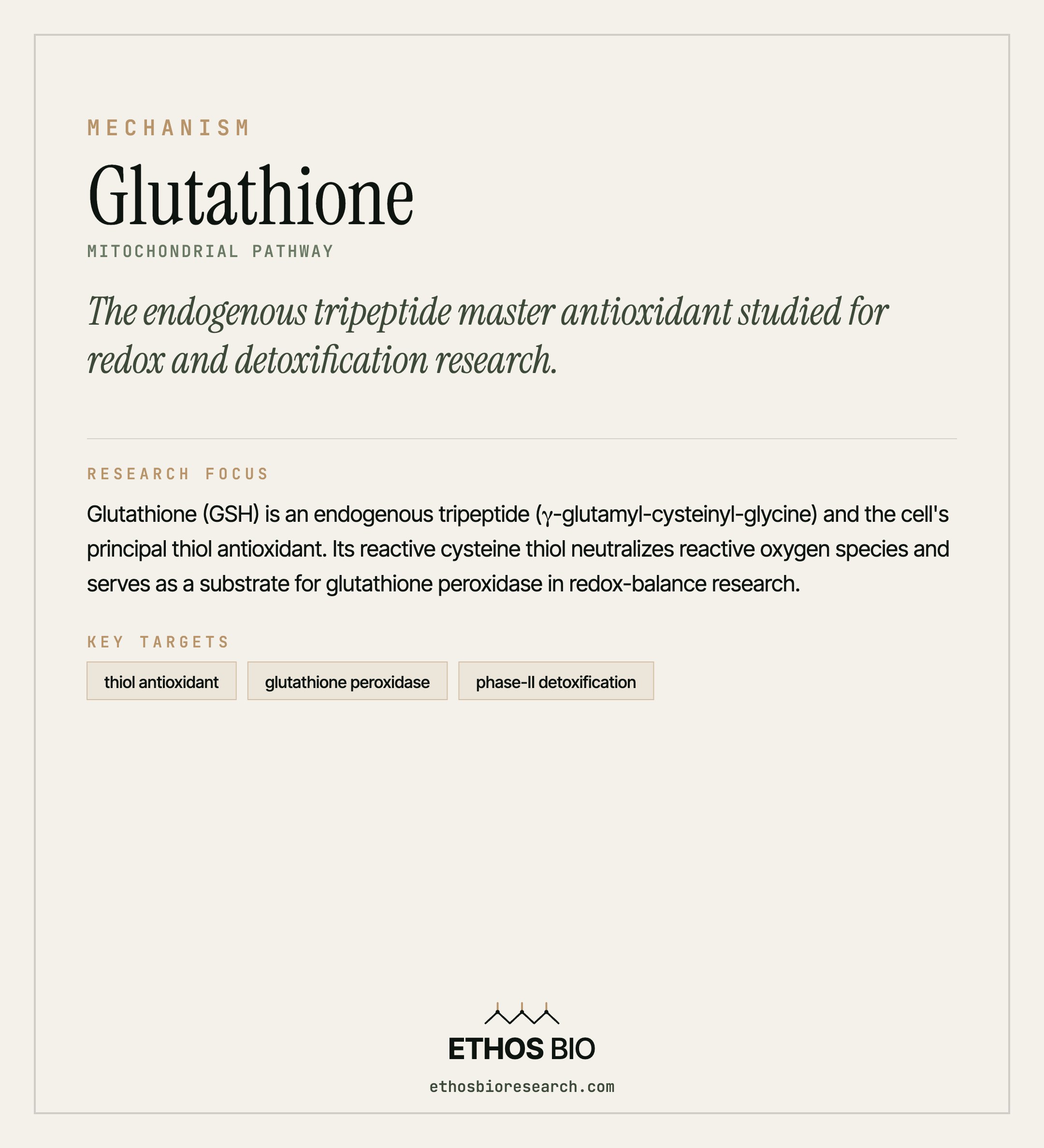 Glutathione mechanism