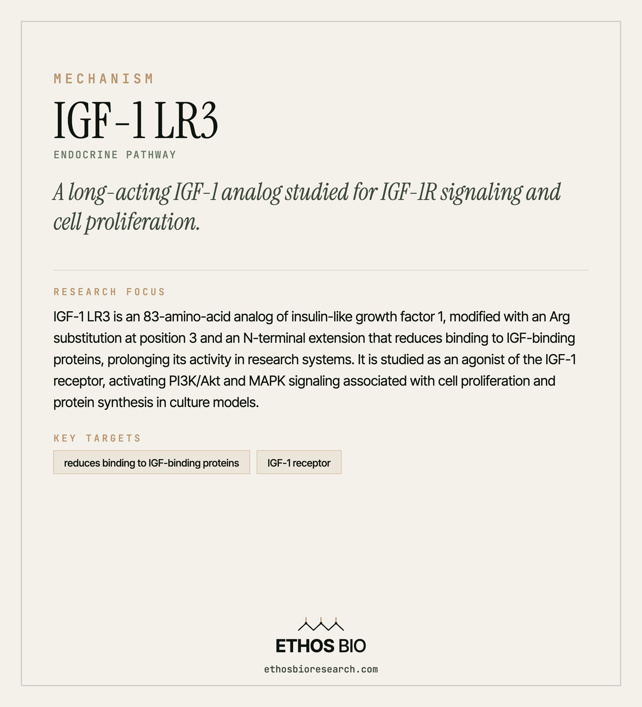 IGF-1 LR3 mechanism