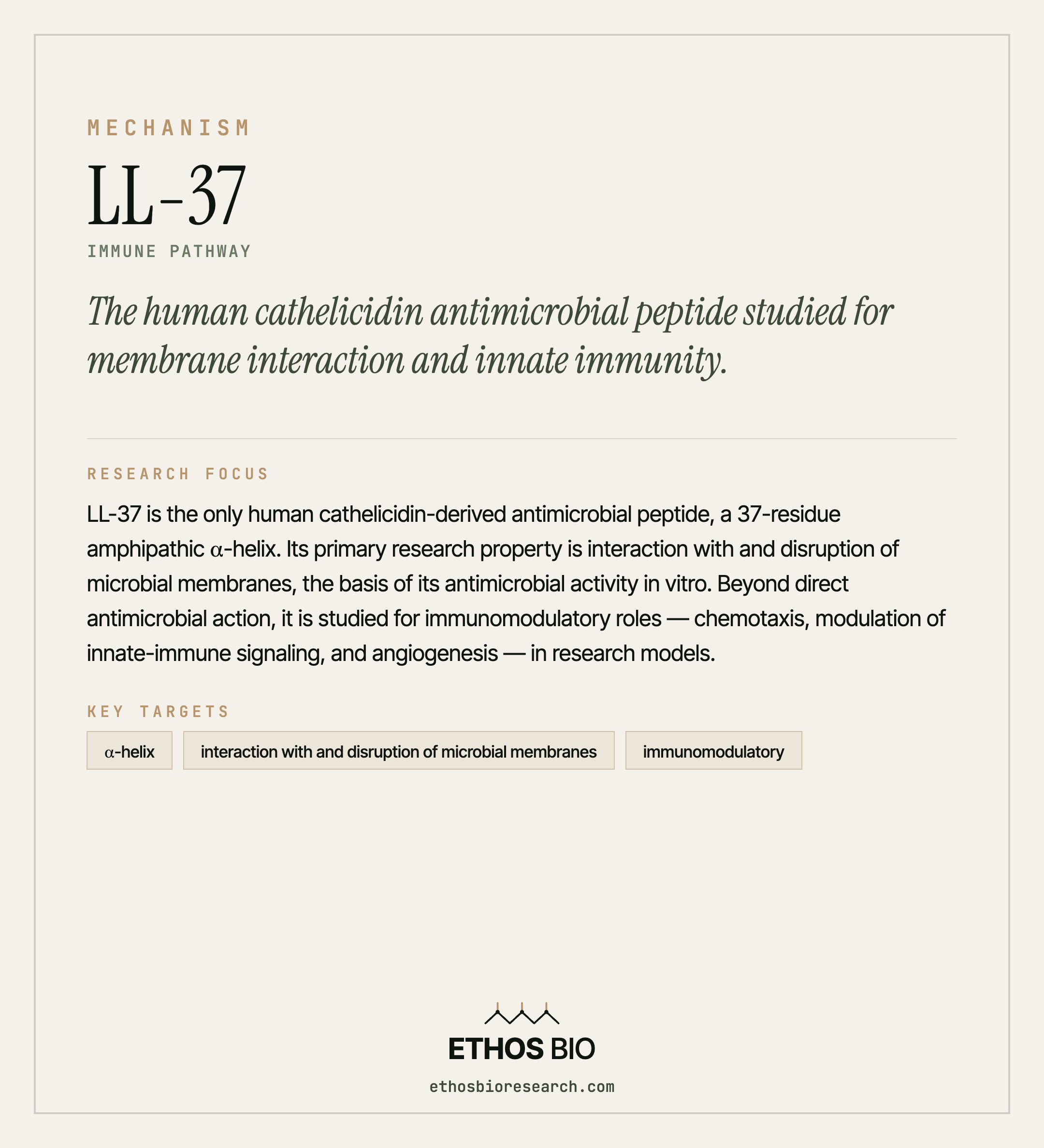 LL-37 mechanism