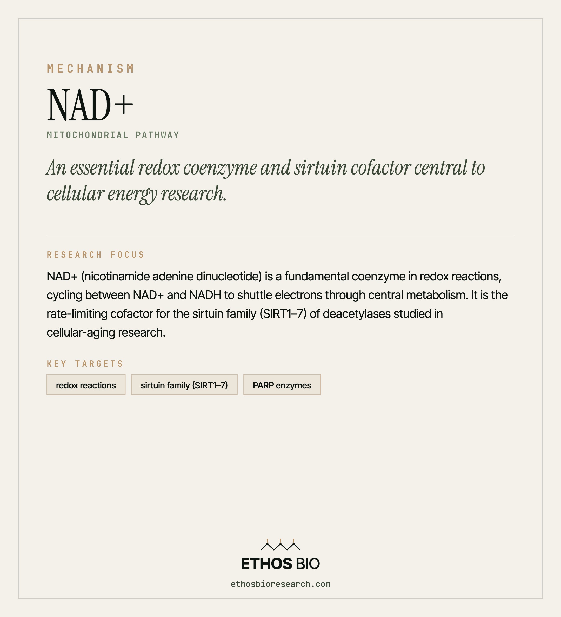 NAD+ mechanism