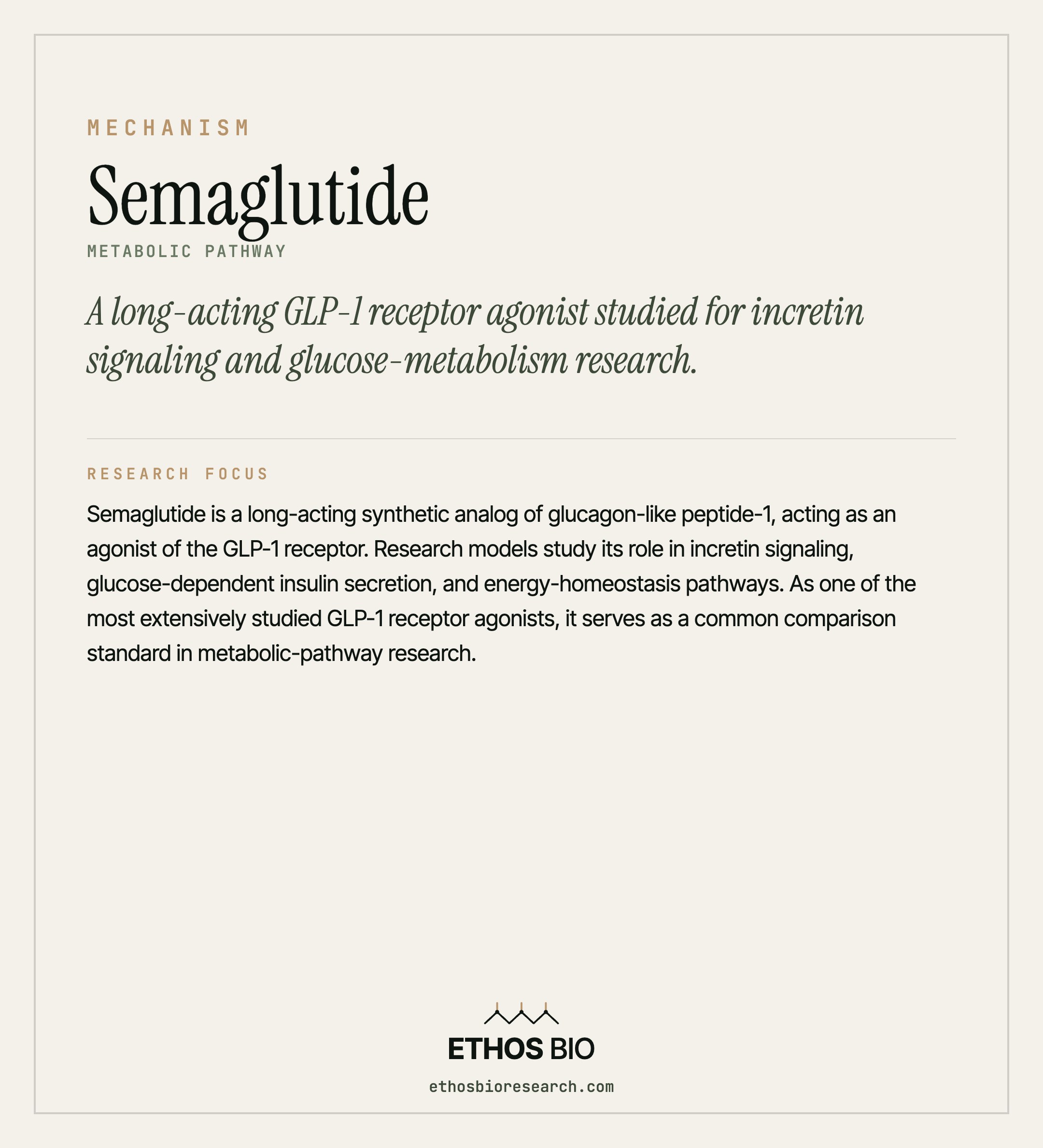Semaglutide mechanism