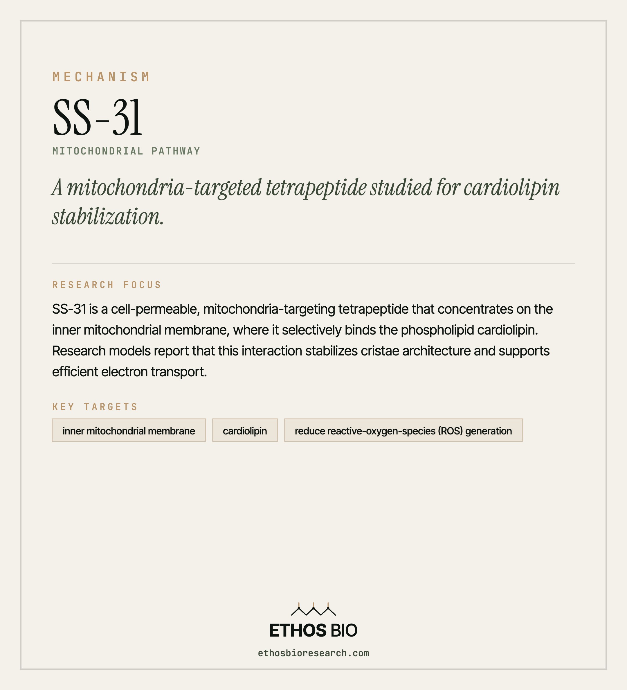 SS-31 mechanism