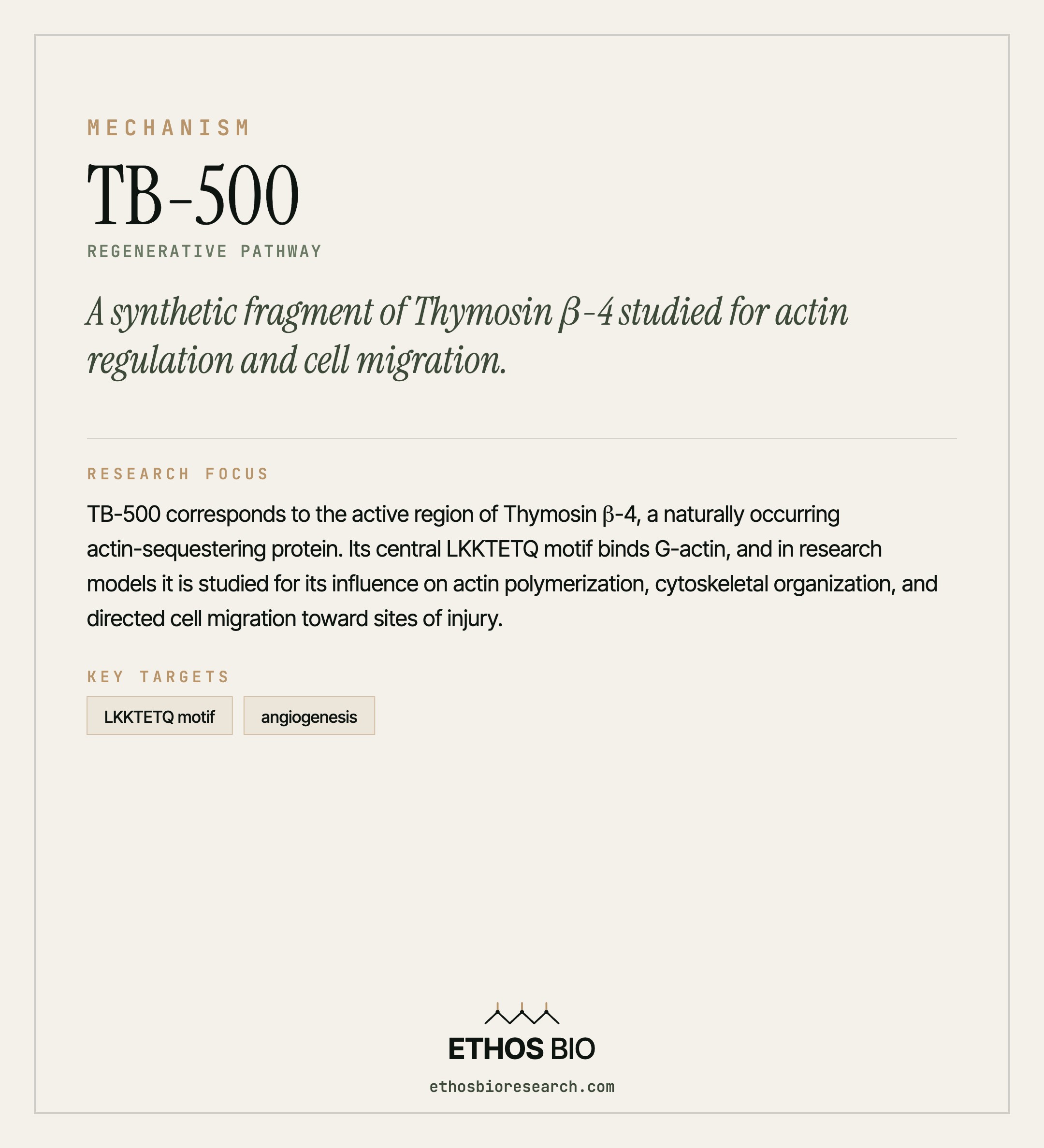 TB-500 mechanism
