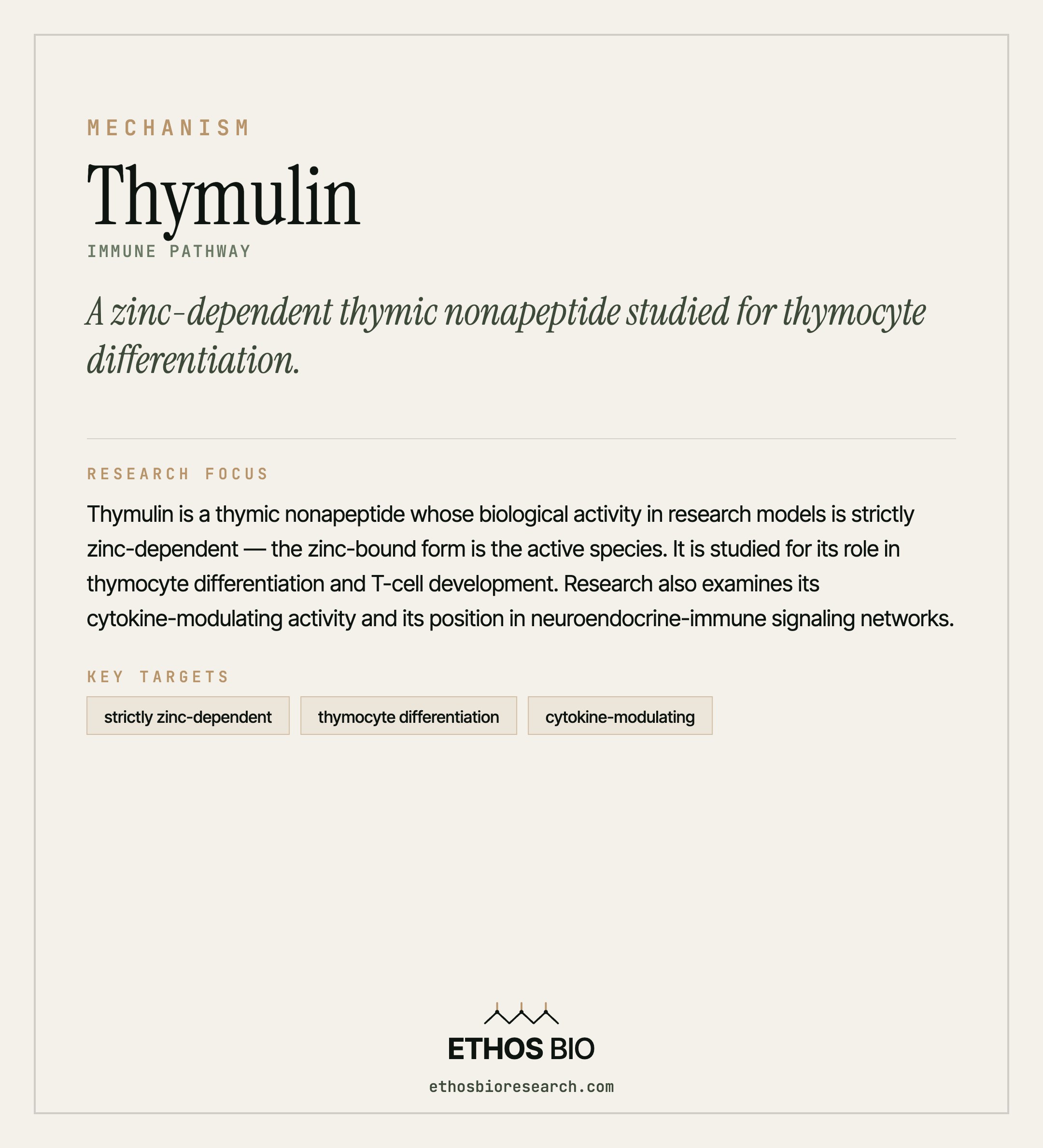 Thymulin mechanism
