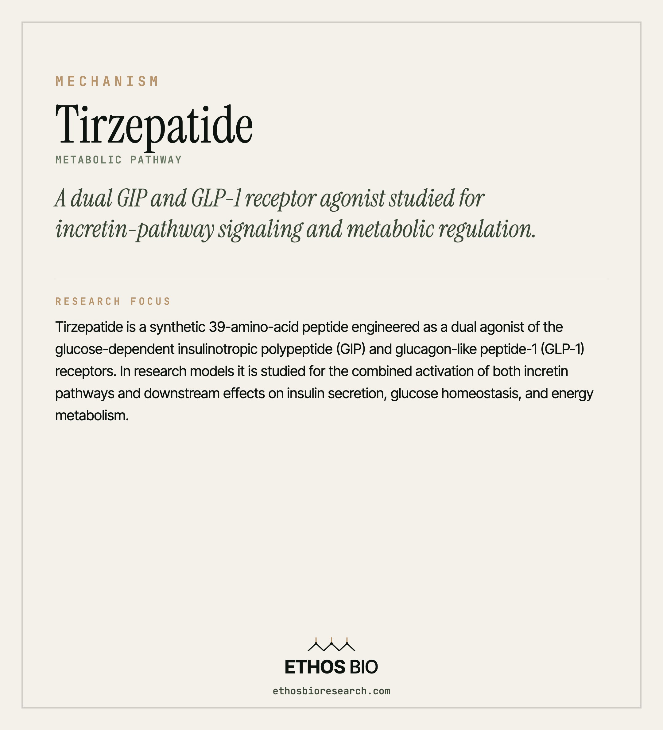 Tirzepatide mechanism